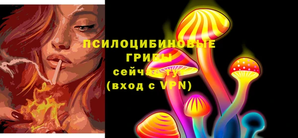 дживик Белокуриха
