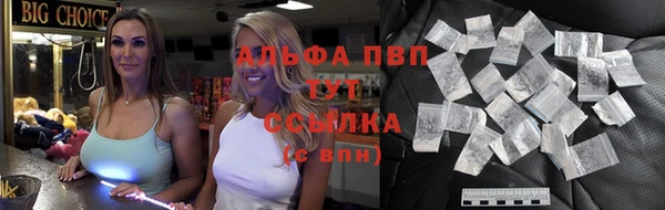 дживик Белокуриха